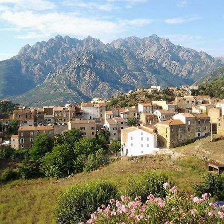 Maison De Village Moltifao Εξωτερικό φωτογραφία